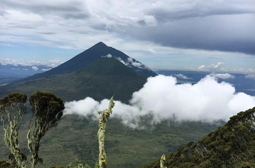 What Is the Best Weather for Mgahinga Gorilla Trekking?