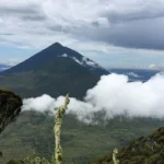 What Is the Best Weather for Mgahinga Gorilla Trekking?