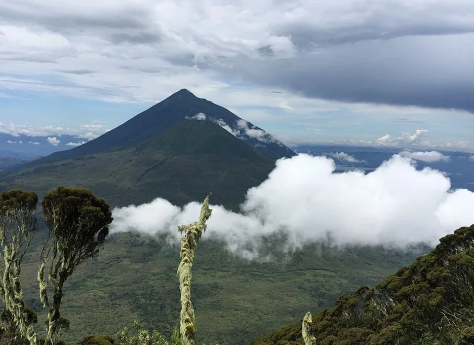 What Is the Best Weather for Mgahinga Gorilla Trekking?