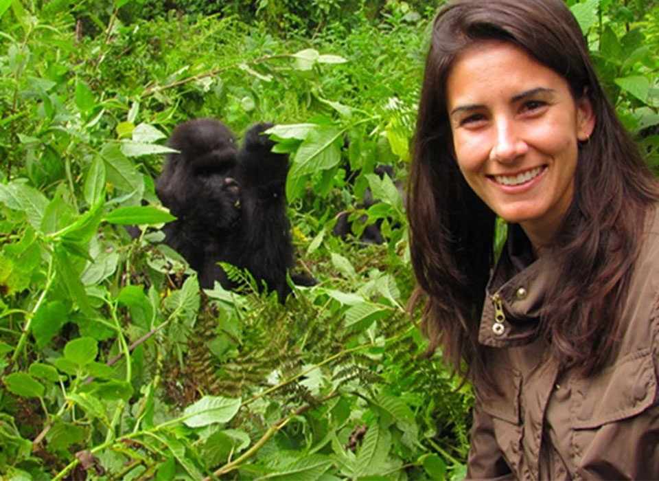 Mountain Gorilla Tracking Countries in Africa