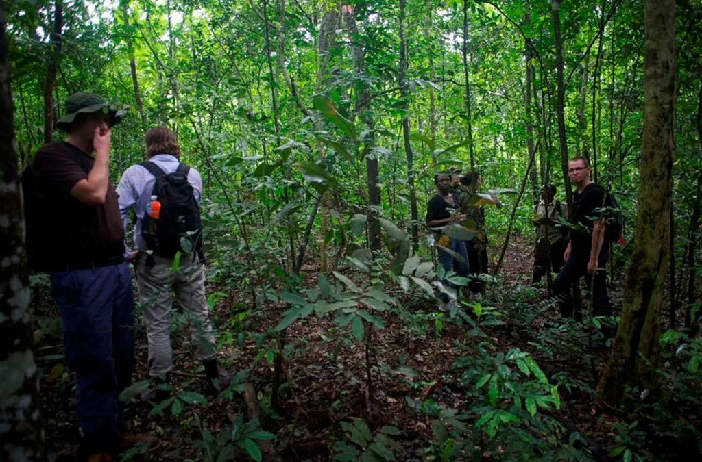 Hiking and Nature Walks in Uganda