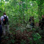 Hiking and Nature Walks in Uganda