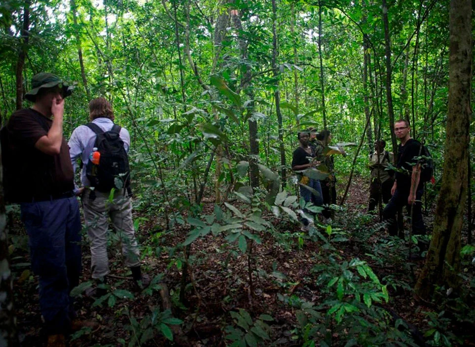 Hiking and Nature Walks in Uganda