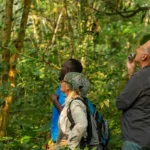 What to Do After Chimpanzee Trekking in Kibale National Park