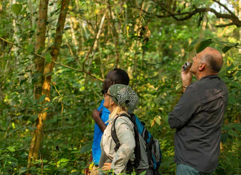 What to Do After Chimpanzee Trekking in Kibale National Park