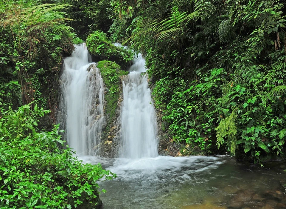 Bizenga River in Bwindi Forest