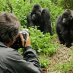 How Long Is Gorilla Trekking in Rwanda?