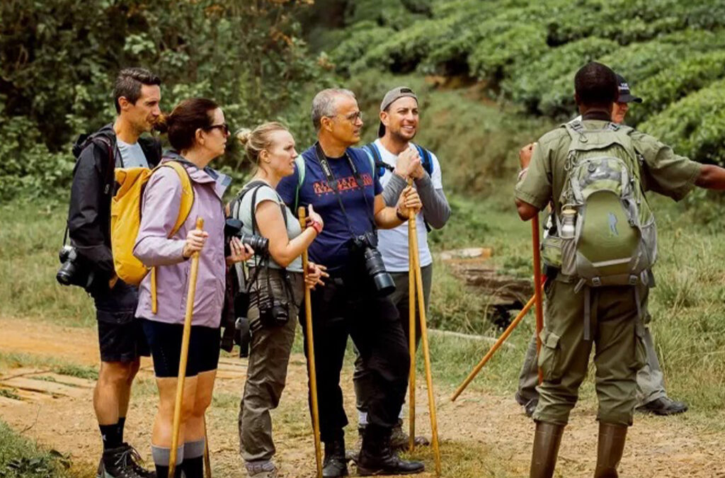 Why Are Group Safaris Better in Uganda?
