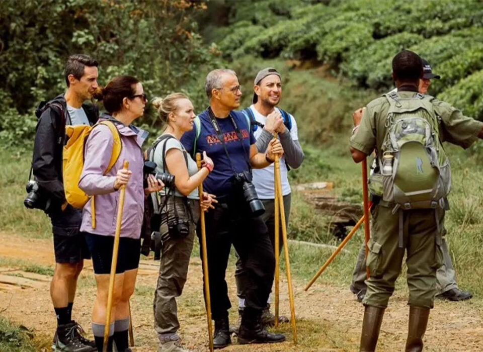 Why Are Group Safaris Better in Uganda?