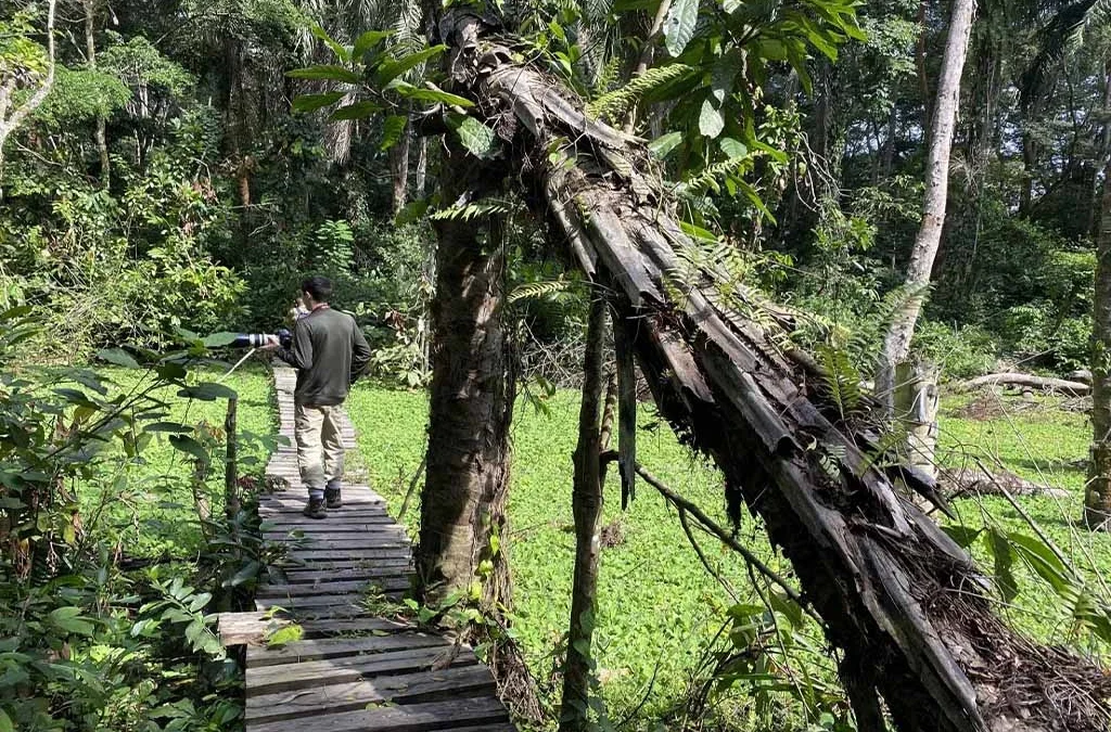 Guided Nature Walks in Semuliki National Park
