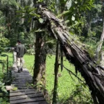 Guided Nature Walks in Semuliki National Park