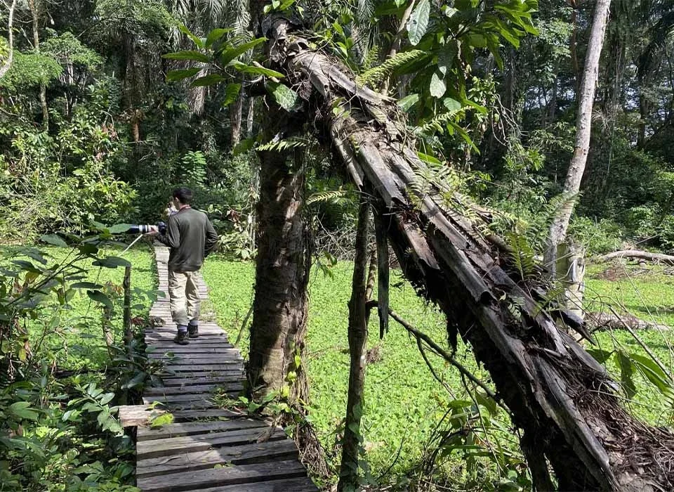 Guided Nature Walks in Semuliki National Park