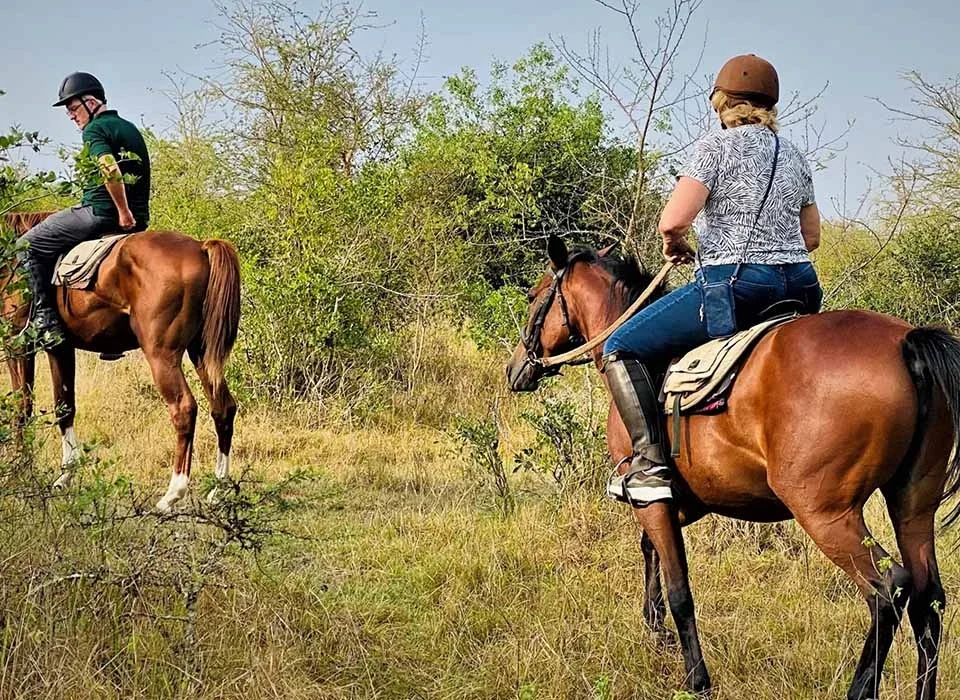 Wildlife Sightings on a Horseback Safari in Lake Mburo National Park