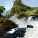 Why Murchison Falls Should Be on Your Bucket List