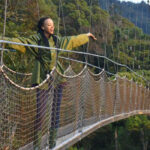 What to Expect on the Nyungwe Canopy Walk in Rwanda