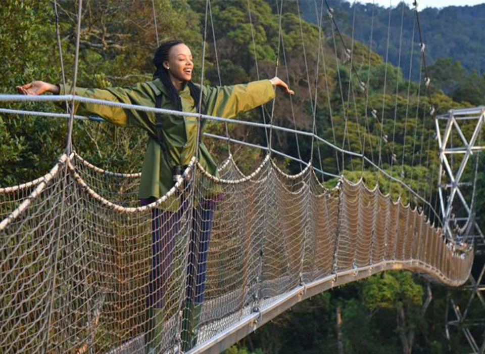 What to Expect on the Nyungwe Canopy Walk in Rwanda