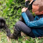 Can Older Travellers Go Gorilla Trekking in Uganda?