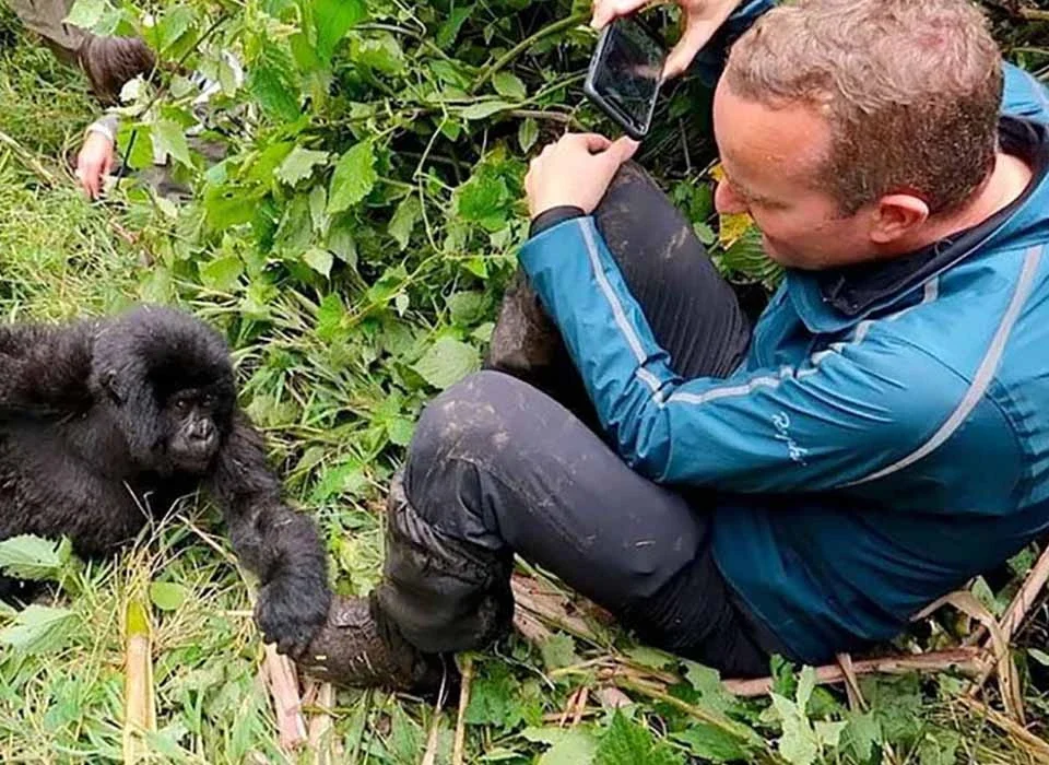 Can Older Travellers Go Gorilla Trekking in Uganda?