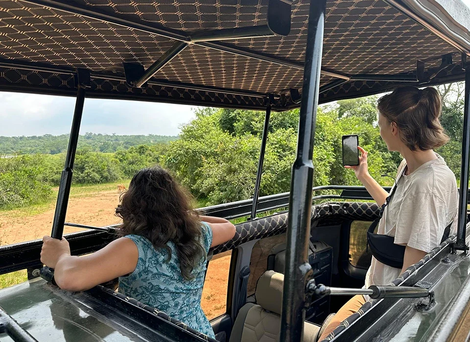 What Makes Uganda the Best-Value Safari Destination?