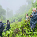 Gorilla Trekking in Volcanoes National Park