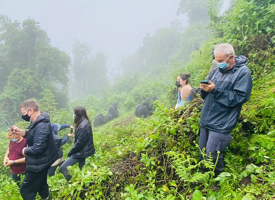 Gorilla Trekking in Volcanoes National Park