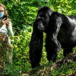 How to Book Gorilla Trekking in Rwanda