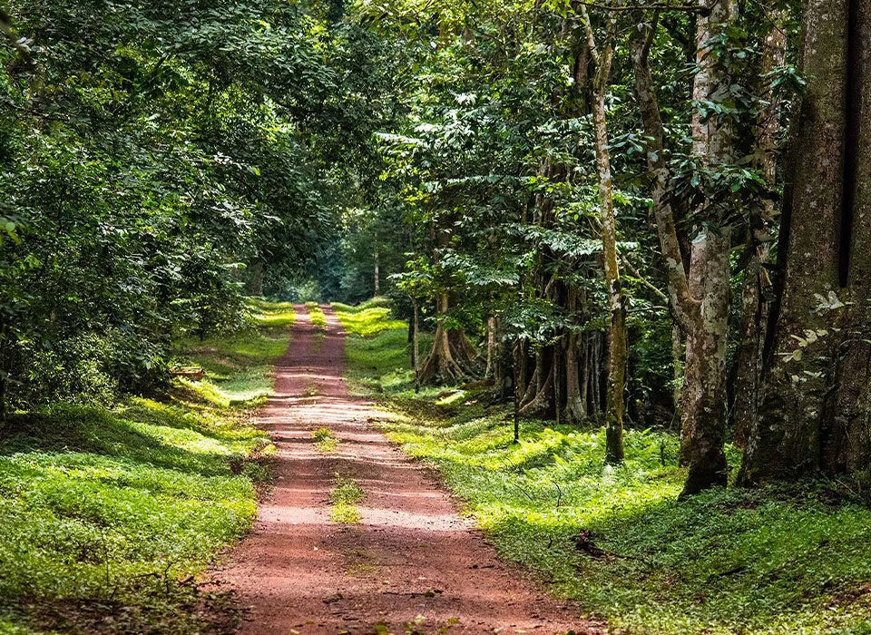 How to Access the Royal Mile from Murchison Falls National Park