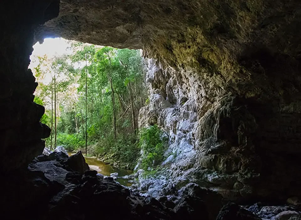 Maramagambo Forest Bat Caves