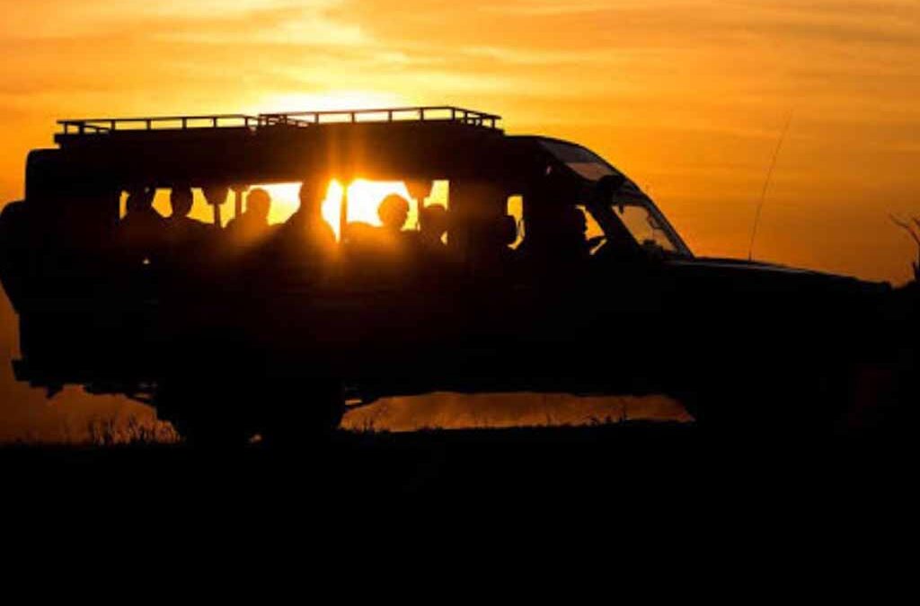 What to Expect on a Night Game Drive in Uganda