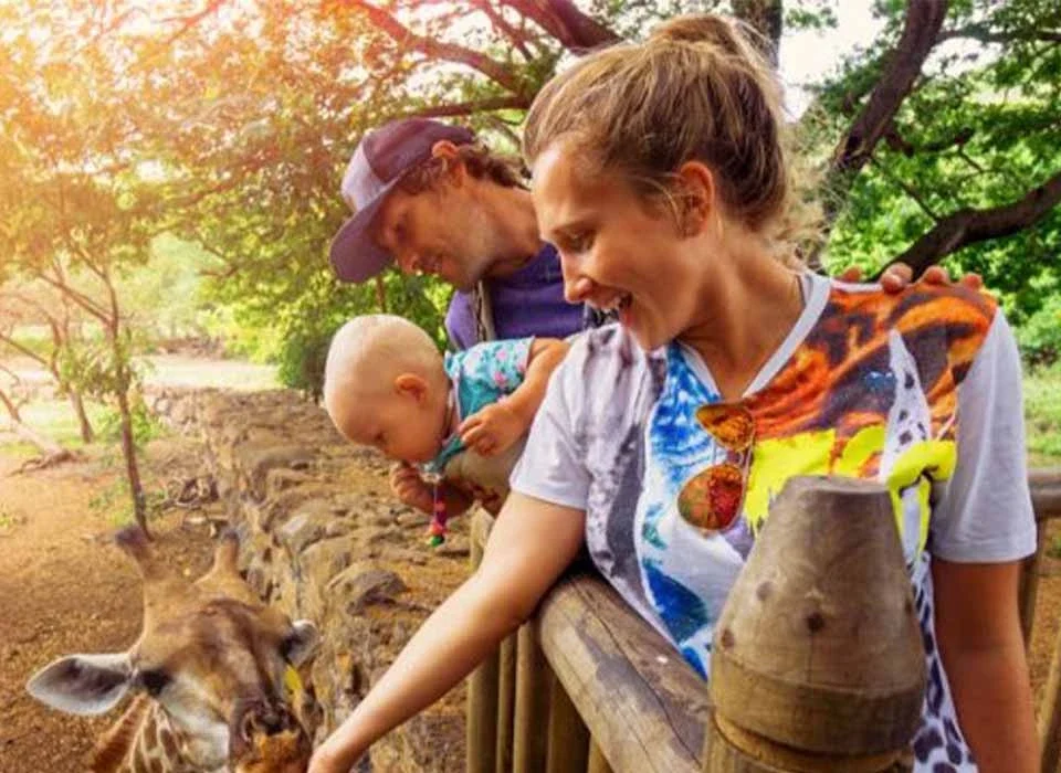 Rwanda Safari for Small Groups and Families