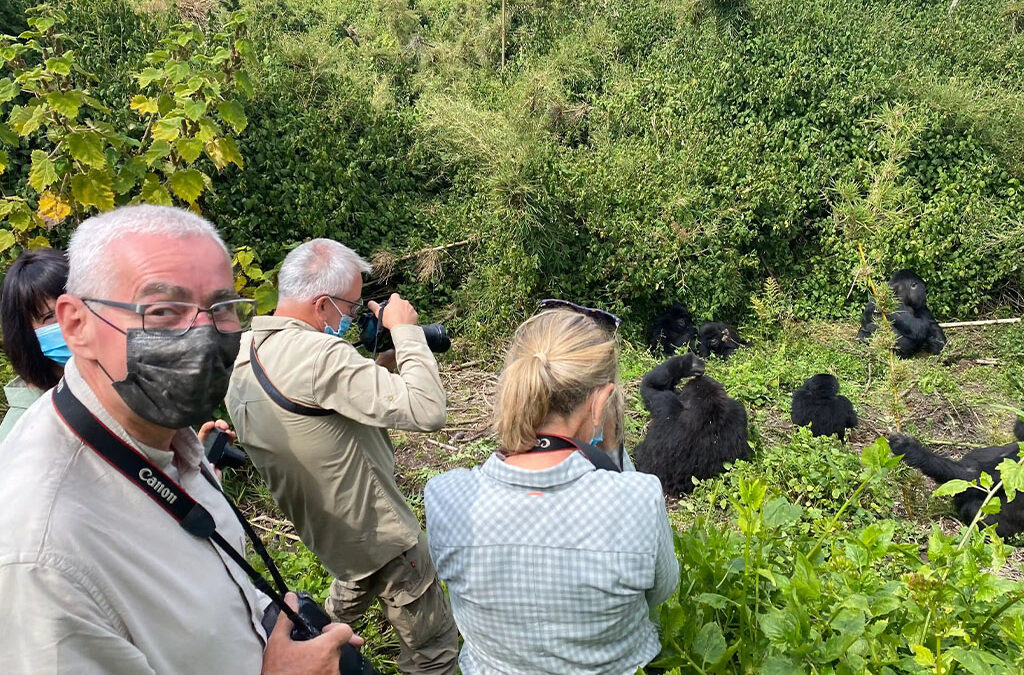 Ultimate Luxury Rwanda Adventure with Experiya Tour Company