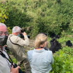 Ultimate Luxury Rwanda Adventure with Experiya Tour Company