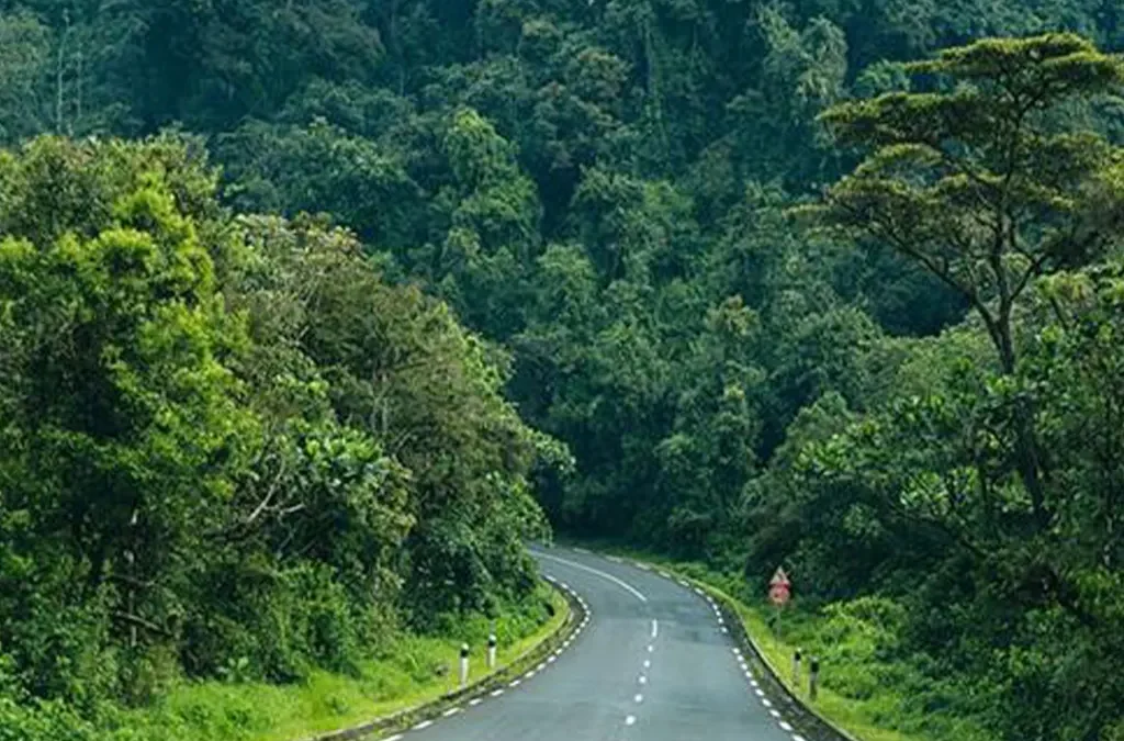 What Is the Largest Natural Forest in Rwanda?
