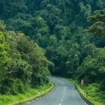What Is the Largest Natural Forest in Rwanda?