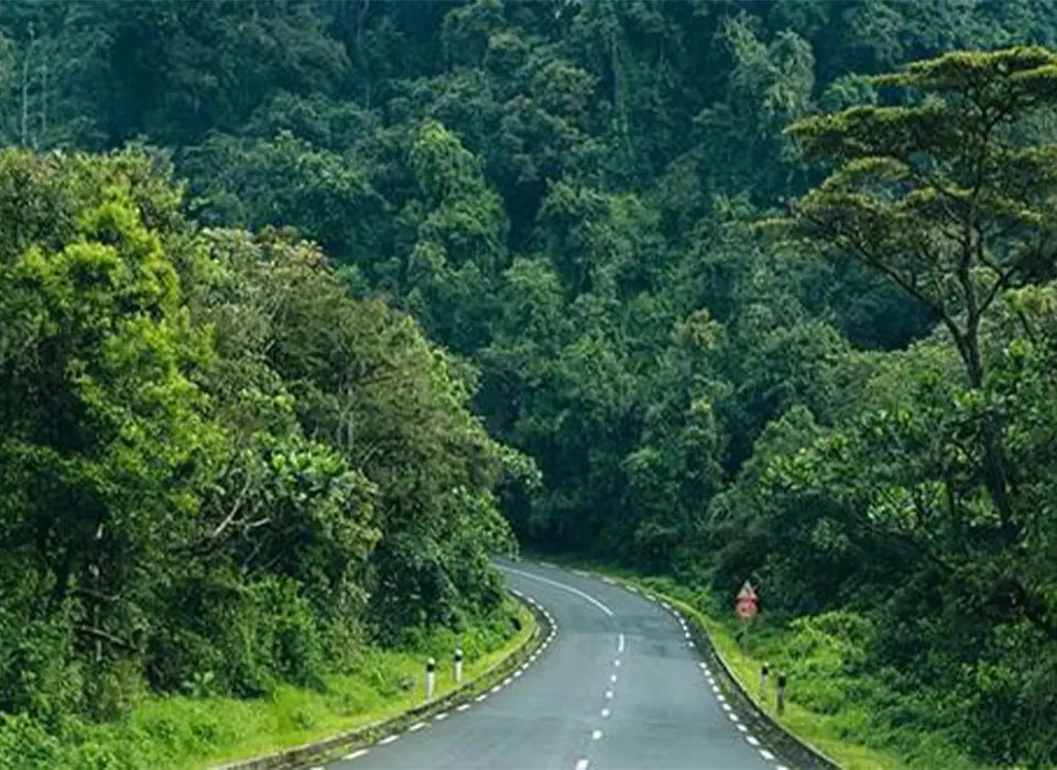 What Is the Largest Natural Forest in Rwanda?