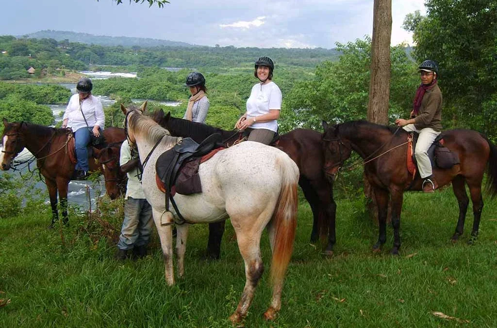 Horse Riding in Jinja: An Exciting Adventure Along the River Nile