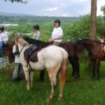 Horse Riding in Jinja: An Exciting Adventure Along the River Nile