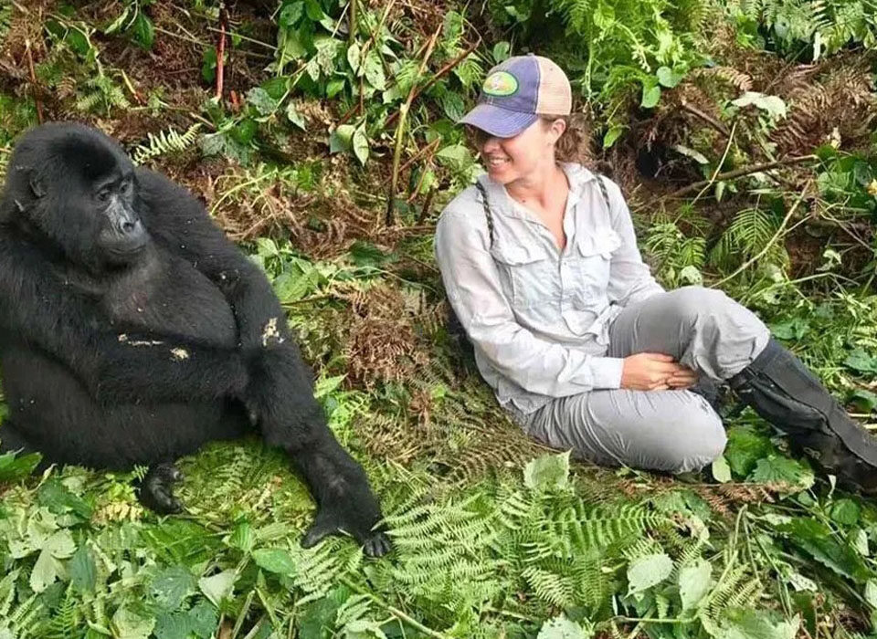 How to Behave in Front of a Gorilla: A Guide to Safe and Respectful Gorilla Trekking