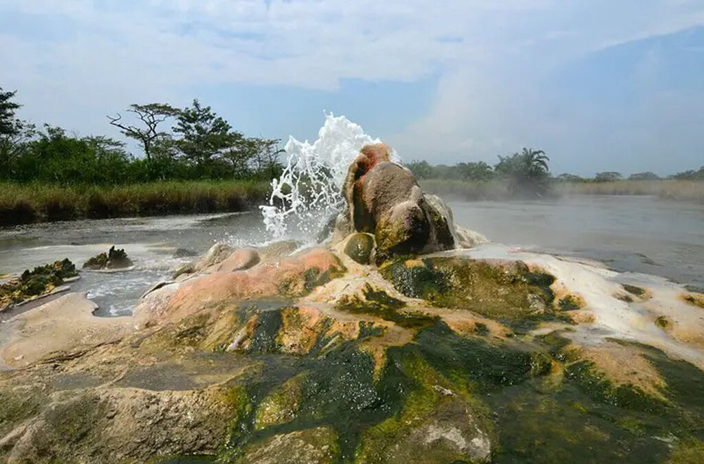 4-Day Luxury Safaris to Semuliki National Park and Kibale Forest National Park