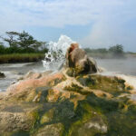 4-Day Luxury Safaris to Semuliki National Park and Kibale Forest National Park