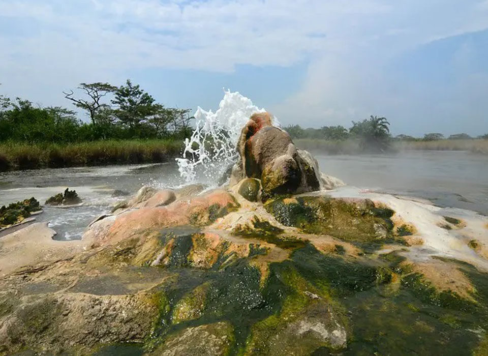 4-Day Luxury Safaris to Semuliki National Park and Kibale Forest National Park