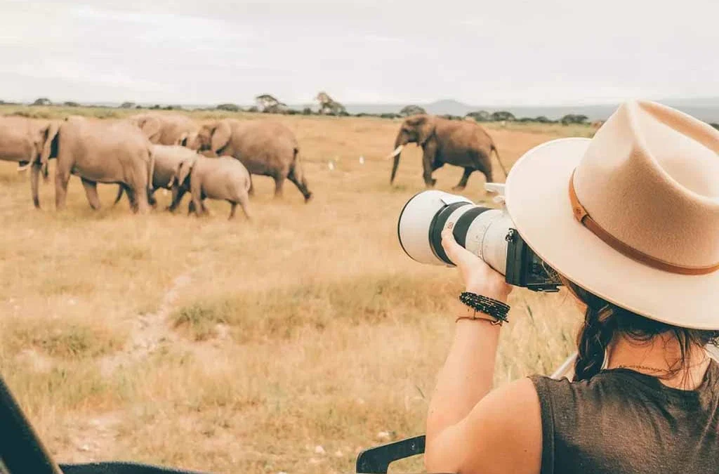 Top Safari Experiences for Solo Travellers in Uganda