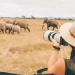 Top Safari Experiences for Solo Travellers in Uganda