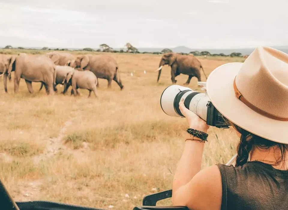 Top Safari Experiences for Solo Travellers in Uganda