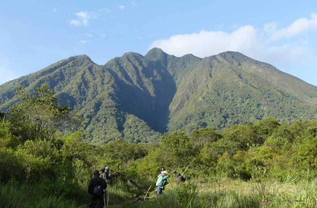 Top Attractions Near Mgahinga Gorilla National Park