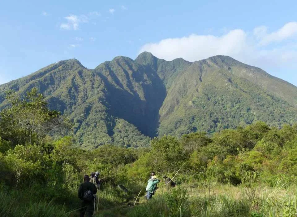 Top Attractions Near Mgahinga Gorilla National Park
