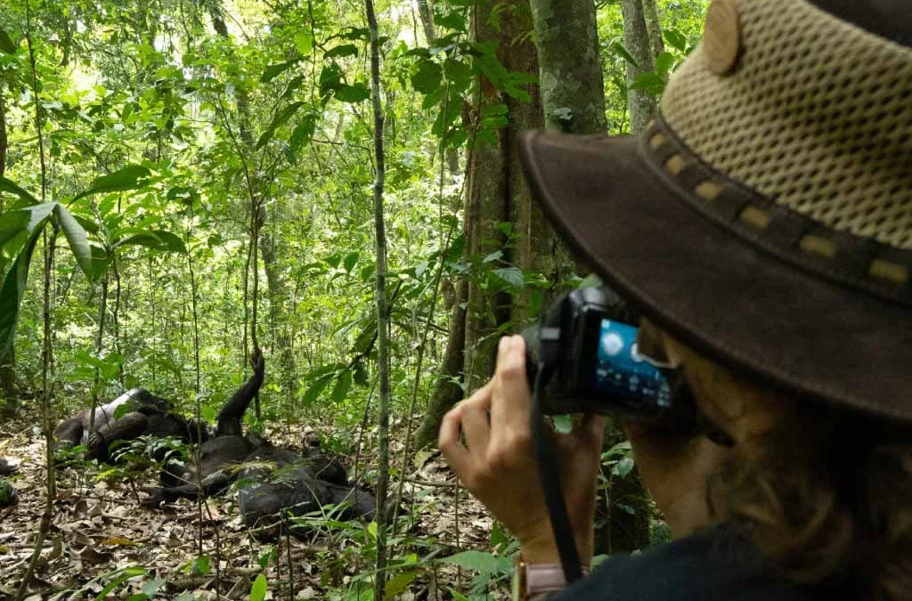 Top Places to Film Primates in Uganda
