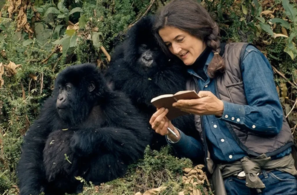 Dian Fossey Hike in Rwanda