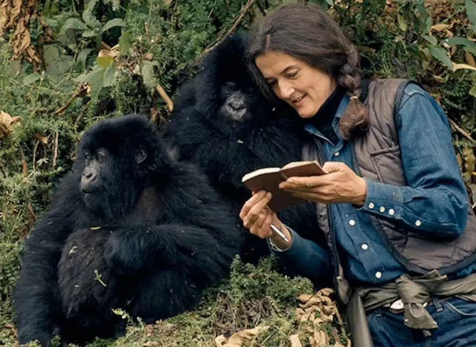 Dian Fossey Hike in Rwanda