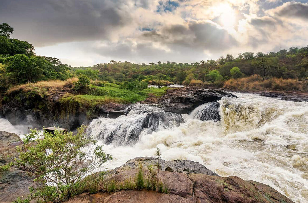 History of Murchison Falls National Park: From Early Exploration to Wildlife Conservation